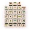Bugs Wooden Alphabet Blocks