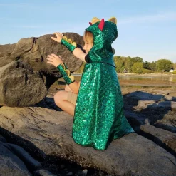 Dragon & Knight Reversible Costume