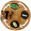 Felt Life Cycle Tray Playmat (Earth)