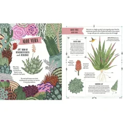 Grow: Family Guide to Plants and How To Grow Them