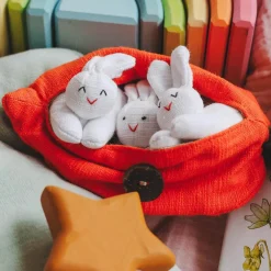 Hide-and-Seek Bunnies in Carrot Pouch
