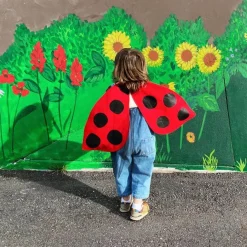 Ladybug Wings Costume
