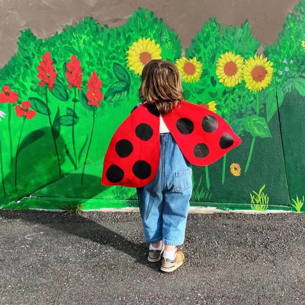 Ladybug Wings Costume