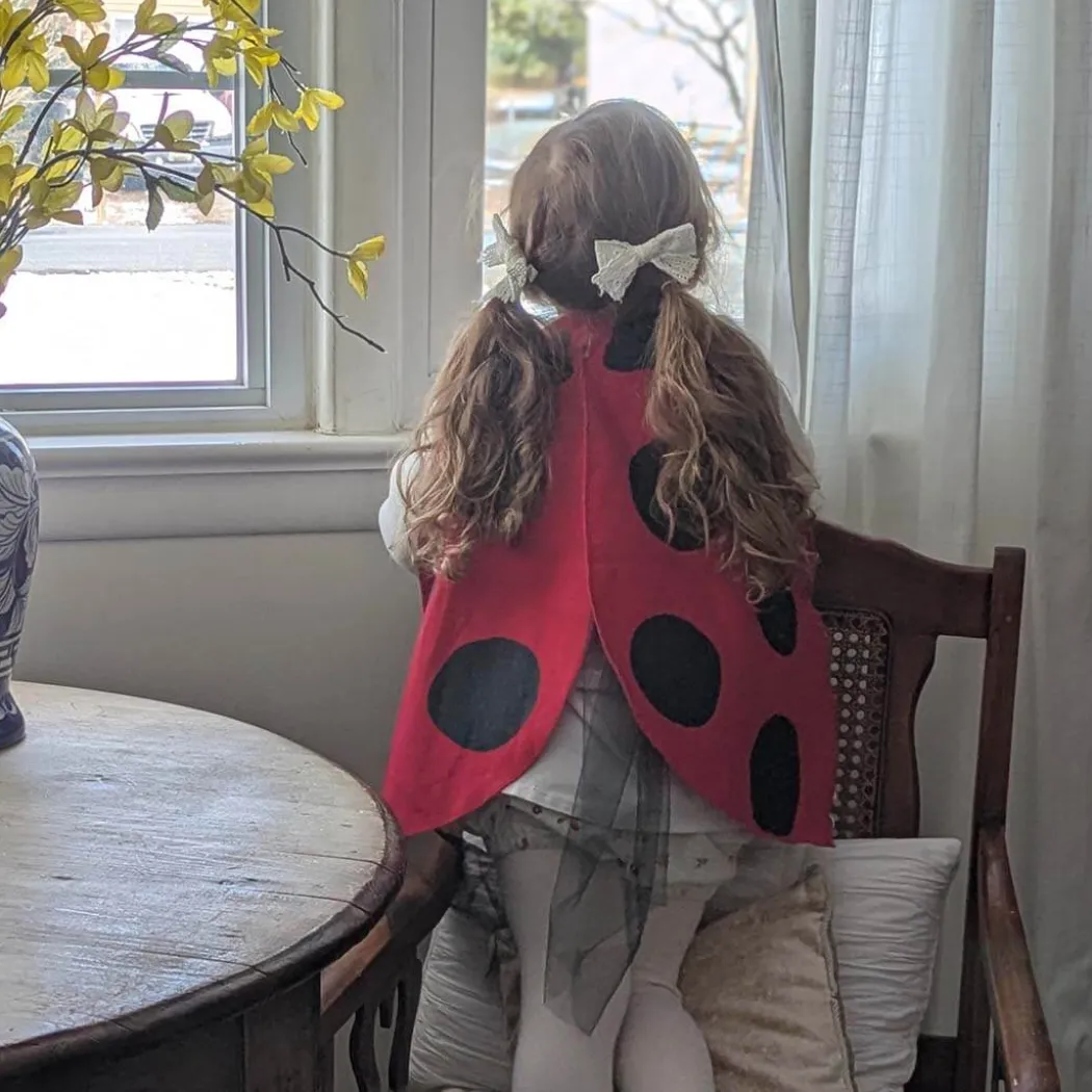 Ladybug Wings Costume