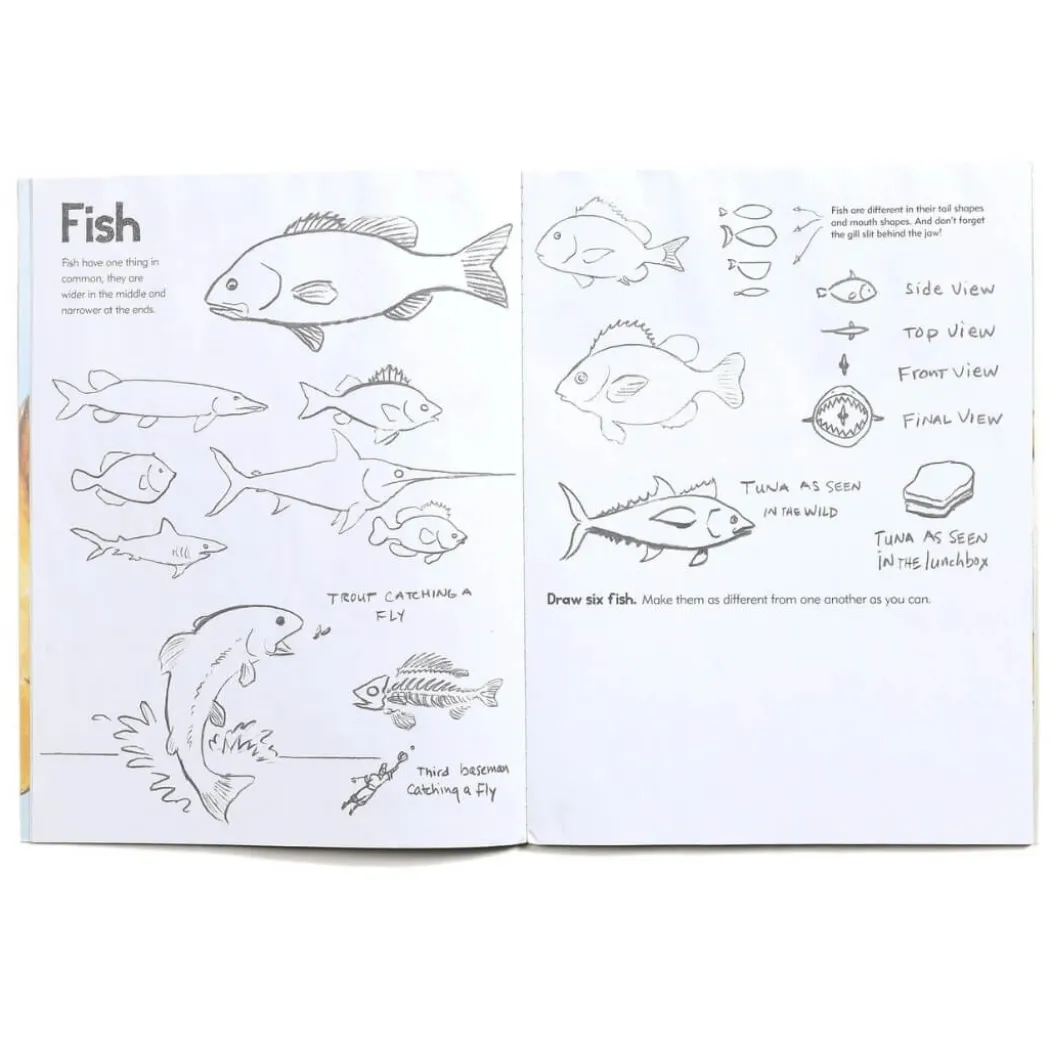 Learn To Draw Animals Art Book