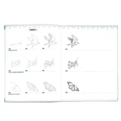 Learn to Draw Bugs, Birds, & Butterflies