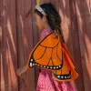 Monarch Butterfly Wings
