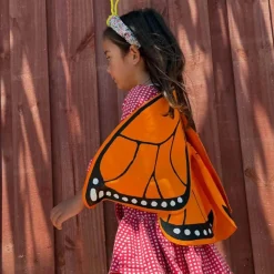 Monarch Butterfly Wings