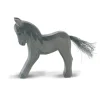 Ostheimer Charcoal Colt