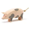 Ostheimer Spotted Pig, Head High