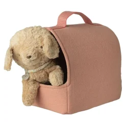 Pet Carrier