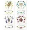 Set of Four Seasonal Flower Fairy Books by Cicely Mary Barker