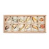 Wild: Exploration Play Set and Sorting Tray