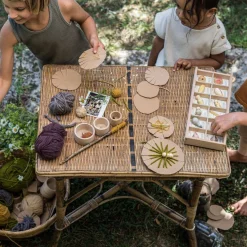 Wild: Exploration Play Set and Sorting Tray