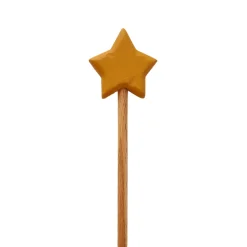 Wooden Star Wand